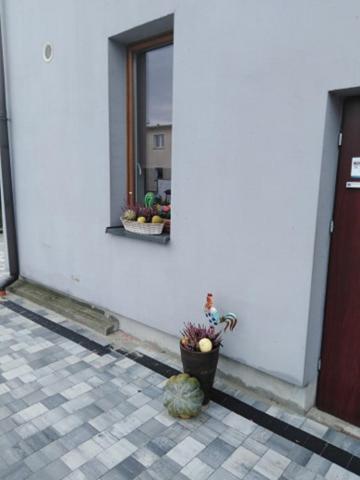 Pod Kogucikiem Aparthotel Krzyzanowice Buitenkant foto
