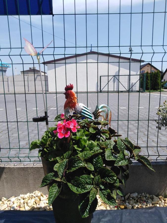 Pod Kogucikiem Aparthotel Krzyzanowice Buitenkant foto