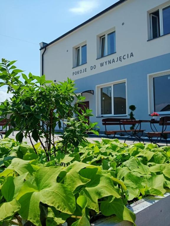 Pod Kogucikiem Aparthotel Krzyzanowice Buitenkant foto