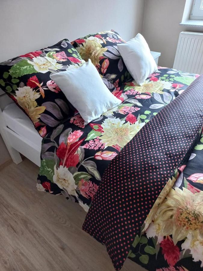 Pod Kogucikiem Aparthotel Krzyzanowice Buitenkant foto