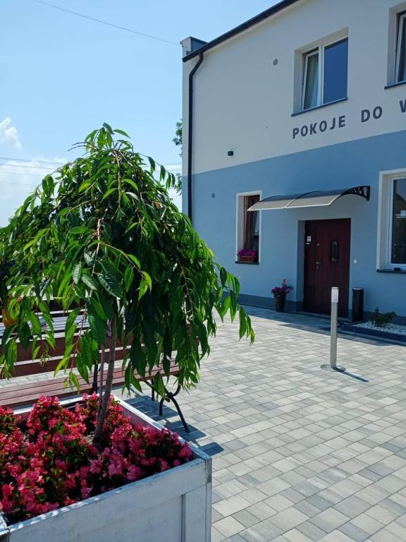 Pod Kogucikiem Aparthotel Krzyzanowice Buitenkant foto